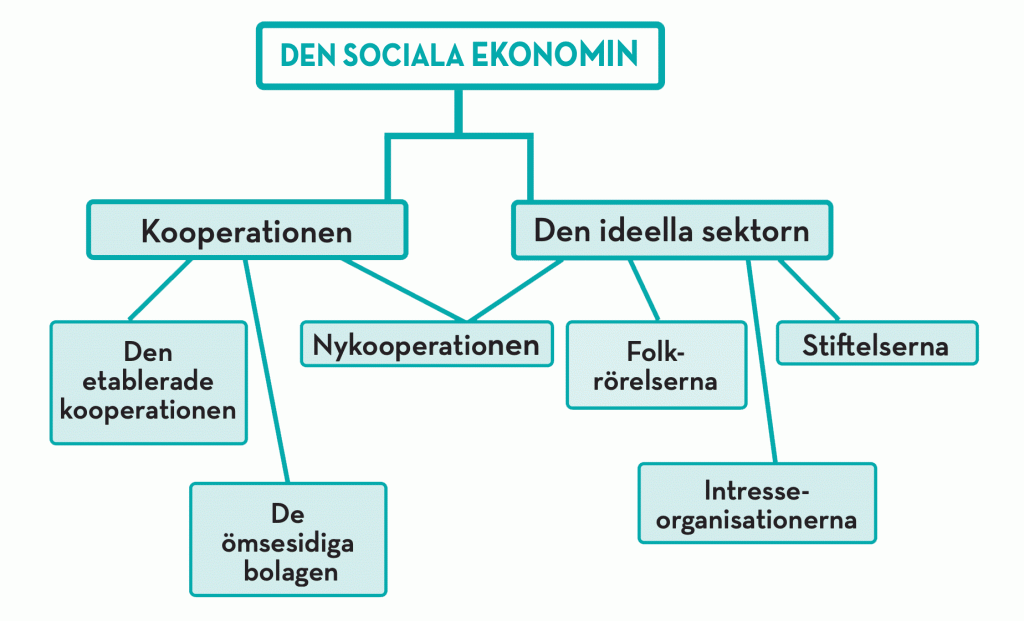 den sociala ekonomin